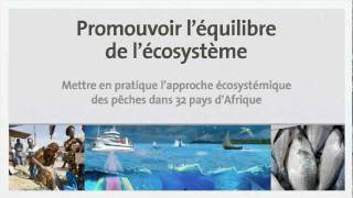 Lapproche écosystémique des pêches AEP frenchwmv [upl. by Erbma]