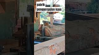 kayu kempas bandsaw [upl. by Nyltac]