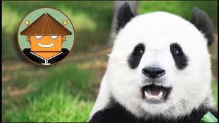 3 Pandas Full Gameplay Walkthrough [upl. by Honig523]