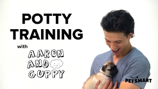 PetSmart Puppy Training How to Potty Train a Puppy [upl. by Prudy699]