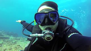 Feeling the current at the ShotGun point Komodo Liveaboard with ONCO [upl. by Nemrac548]