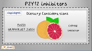 P2Y12 Receptor inhibitors [upl. by Mia]