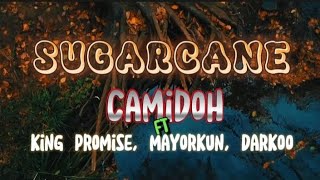 Camidoh ft King Promise Mayorkun Darkoo Sugarcane remix lyrics [upl. by Lanie]