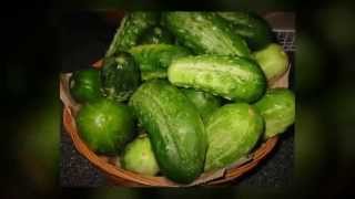 Food To Lose Weight  These Top 10 Veggies Are The Best Foods To Lose Weight [upl. by Nimref]