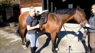 How To Do A Tackaberry Cinch Australian Stock Horse Saddle Company [upl. by Ekard975]