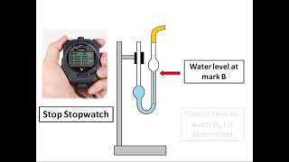 Viscosity coefficient measurement with Ostwalds viscometer  Animated Practical Instruction [upl. by Liborio]