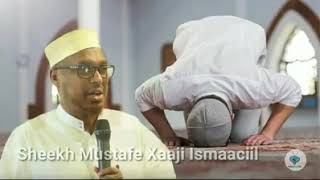 salaada habeenkii latukado sh  mustaffa xaaji ismaaciil haaruun [upl. by Medrek]