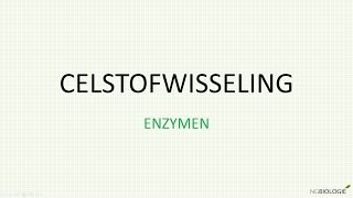 Enzymen [upl. by Heidy]