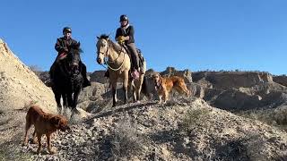 Amazing trail riding near Wikieup Arizona on the horses in training with me MarionWeisskopff [upl. by Denton582]