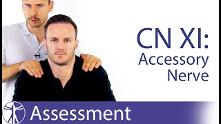 Cranial Nerve 11 Examination  Accessory Nerve Assessment for Physiotherapists [upl. by Karoline630]