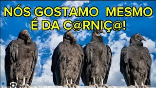 🚨PARA OS HIPÓCRITAS QUE GOSTAM DE MANDAR FAZER O QUE ELES MESMOS NÃO FAZEM 👍👍👍👍👍 [upl. by Adria]