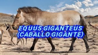 paleopedia equus giganteus [upl. by Blackwell]