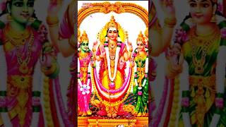 Kandha sashti kavasam valarpirai sashtiMurugan songs in tamil watsapstatus trending murugansong [upl. by Ramedlav882]