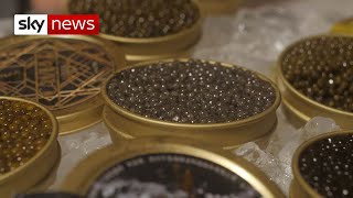 China to make caviar available to the masses [upl. by Bruner]