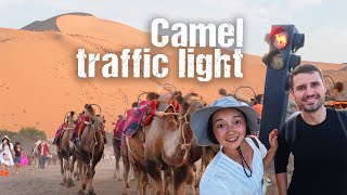 Chinas GOBI DESERT  Dunhuang the oasis where CAMELS have their own TRAFFIC LIGHTS 🚦  S2 EP44 [upl. by Oyam]