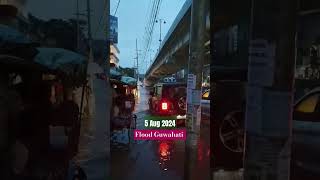 Flood Guwahati Zoo Road guwahati flood [upl. by Haizek]