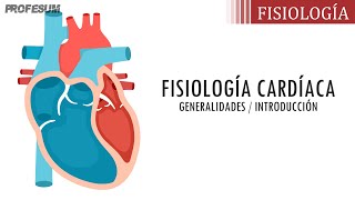 Fisiología Cardíaca  Generalidades Introducción [upl. by Spencer]