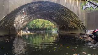 pennypack creek trout fishing fall 2022 [upl. by Derej]