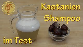 Ich teste KastanienShampoo DIY [upl. by Llertnor]