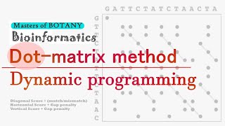 Bioinformatics Dot Matrix Method and Dynamic Programming  Sequence Alignment [upl. by Siurtemed798]