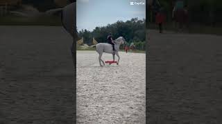 Slay letmeseeyoudoit horse equestrian [upl. by Carmelo961]