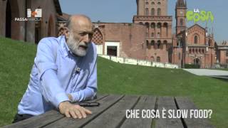 Che cosa è Slow Food Intervista a Carlo Petrini [upl. by Aileduab849]