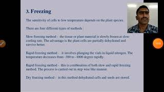 cryopreservationprocedurecryoprotectantapplication [upl. by Ansel]