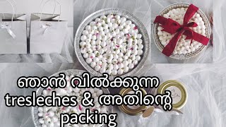 ഞാൻ വിൽക്കുന്ന tres leches cake recipemilk caketres leches cake malayalammilk cake recipe [upl. by Jair868]