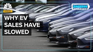 Why EVs Are Piling Up At Dealerships In The US [upl. by Akedijn224]