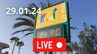 🔴🌡️LIVE Gran Canaria Playa del Ingles January 29 2024 Weather Wetter Januar [upl. by Eiramrebma]