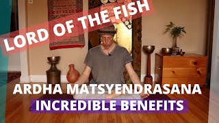 Ardha Matsyendrasana vs Marichyasana 2 incredible yoga poses [upl. by Atilehs585]