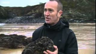 Beach find could be whale ambergris [upl. by Clarie60]