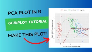 Principal Component Analysis in R [upl. by Voltz]