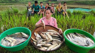 Harvest Fish In The Fields To Sell  Grilled Fish amp Cook Sour  Lý Thị Ca [upl. by Chaddy]