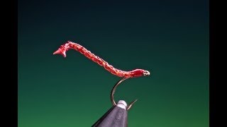 Tying a free swimming blood worm with Barry Ord Clarke [upl. by Aliet]