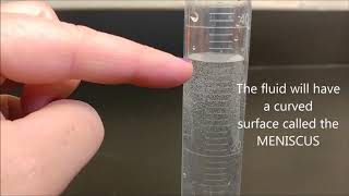 How to use a graduated cylinder [upl. by Currier]