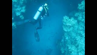 Dahab diving [upl. by Nawak290]