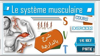 SVT ❤Le système musculaire ❤شرح بالدارجة ❤  partie 1  3AC❤ [upl. by Emarej158]