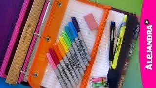 Back to School Organization How to Organize Your Binder amp Supplies [upl. by Rafa490]