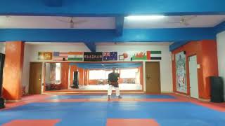 Karate Budokan InternationalAsia Godan Syllabus  Jiin [upl. by Pol]