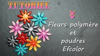 Tuto Fimopolymère et poudre démaillage Efcolor [upl. by Caty]