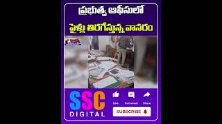 Telangana ACB Chief CV Anand posted an Interesting Video  Shorts Sscdigital Balannamuchatlu [upl. by Webster642]