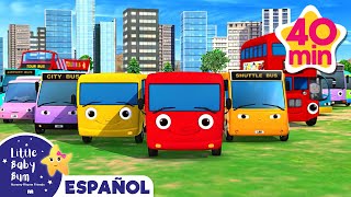 ¡Diferentes tipos de autobuses 🚌 Caricaturas de autobuses 🚌 Canciones infantiles  LBB Español [upl. by Eide]