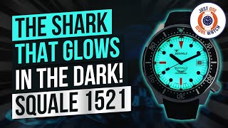 The Shark That Glows In The Dark Squale 1521 Lume Dial [upl. by Cathey]