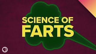 The Science of Farts [upl. by Voltmer]