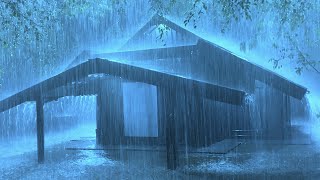 Sleep Instantly with Powerful Rain Sounds amp Loud Thunder Under the Ancient Tent Roof in The Mist [upl. by Lorenza589]