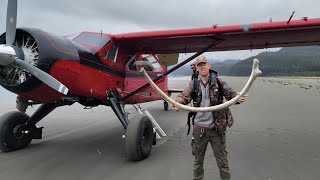 4 Days Solo Camping on Island Full of Whale Bones amp Grizzly Bears [upl. by Ange594]