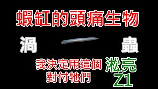 輕鬆除渦蟲  藍絲絨被渦蟲攻擊而減少嗎  淞亮 Z1 上  SL AQUA Aquarium Bio Protector clean planarian and hydra quickly [upl. by Mitzl]