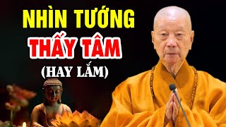 Nhìn TƯỚNG thấy TÂM  HT Thích Trí Quảng rất hay [upl. by Eyahc]