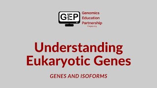 UEG  Genes and Isoforms [upl. by Ydner]